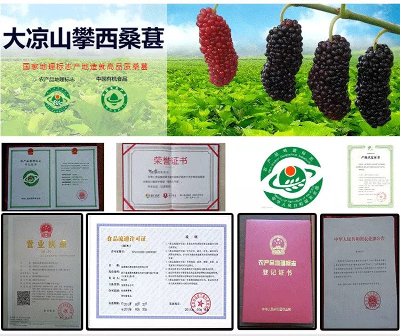 如何给商贸公司起一个响亮的名字?让我们一起探索500个富有灵感的商贸名称吧!